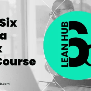 Lean Six Sigma Black Belt Online Training