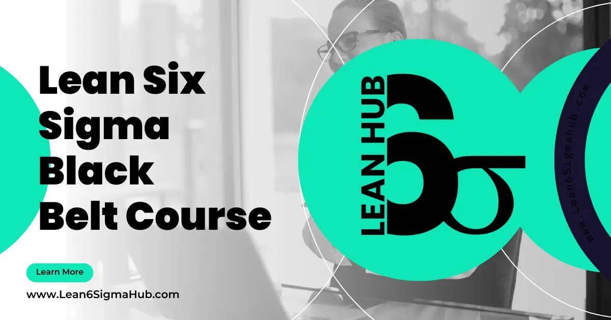 Lean Six Sigma Black Belt Online Training