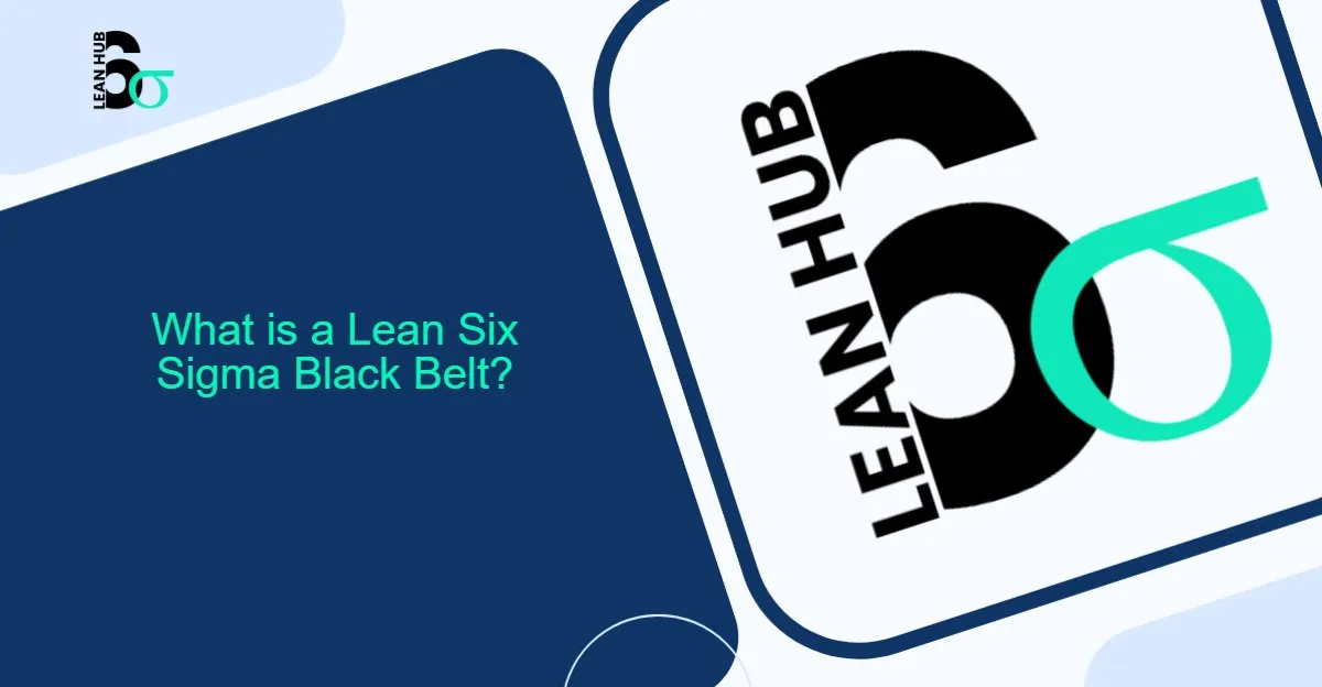 What is a Lean Six Sigma Black Belt?