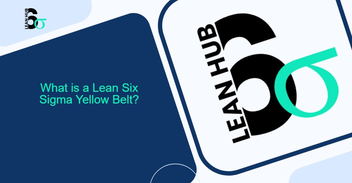 What is a Lean Six Sigma Yellow Belt?
