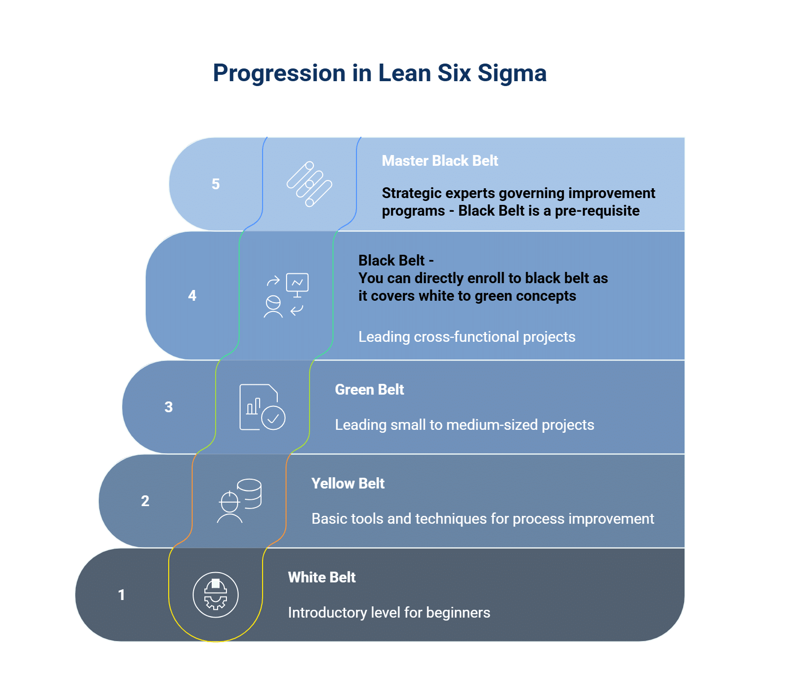 lean six sigma belt levels - visual selection (5)